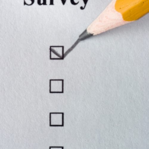 survey