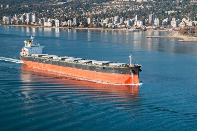 ship dry bulk carrier